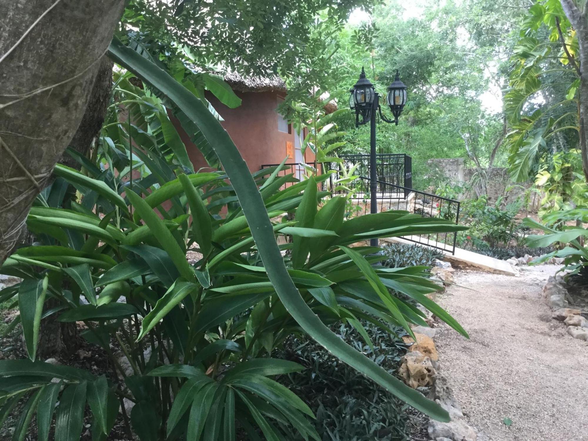 The Pickled Onion B&B And Restaurant Uxmal Santa Elena Rom bilde