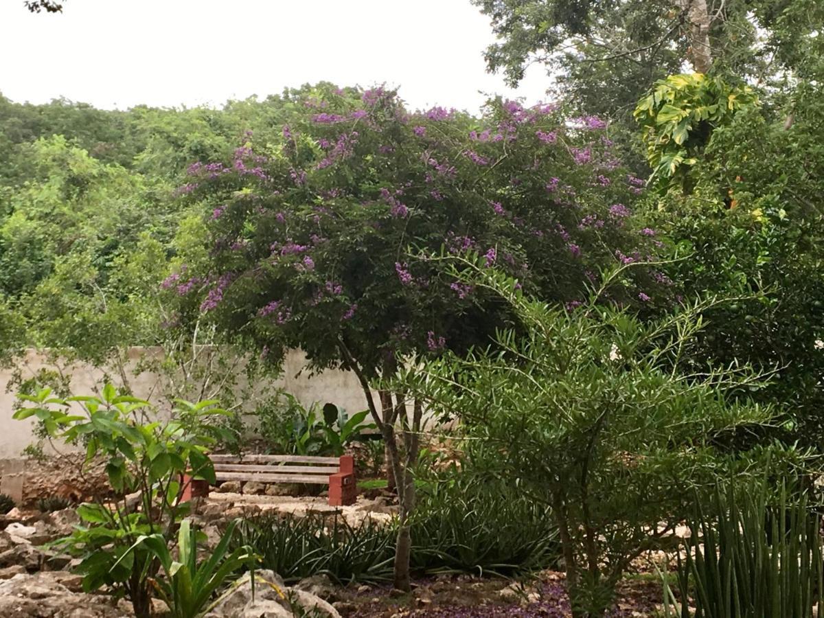 The Pickled Onion B&B And Restaurant Uxmal Santa Elena Eksteriør bilde